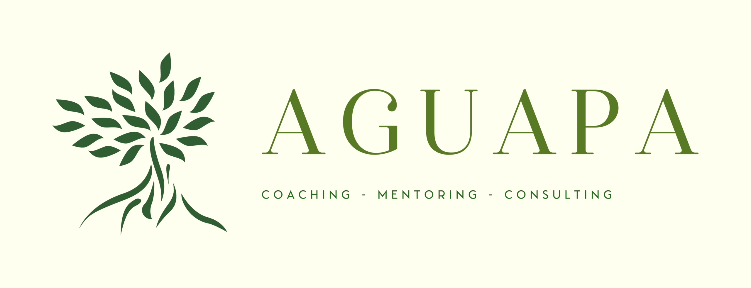 Aguapa Coaching, Mentoring & Consulting